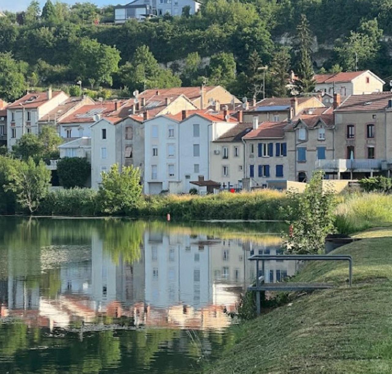 Jolie, Cozy, Confortable Maison De Ville Au Calme A 5Min Du Centre De Verdun, Parking Devant La Maison Belleville-Sur-Meuse Zewnętrze zdjęcie